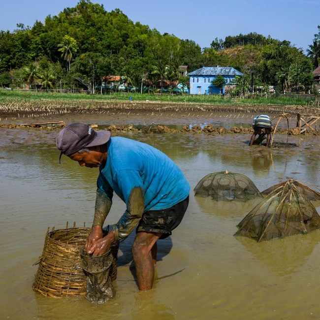 Kemarau Panjang, Ratusan Telaga di Gunungkidul Mengering