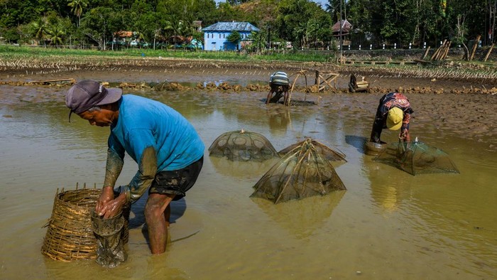 Warga memanfaatkan sisa genangan air di Telaga Kedung Giriwungu yang mengering di Kapanewon Panggang, Kabupaten Gunungkidul, DI Yogyakarta, Selasa (28/7/2026). Dinas Pekerjaan Umum, Perumahan Rakyat, dan Kawasan Permukiman (DPUPRKP) Kabupaten Gunungkidul mencatat sebanyak 329 telaga tidak lagi berfungsi, sementara hanya sekitar 20 telaga yang masih menyimpan air dengan debit yang terus menyusut akibat musim kemarau. ANTARA FOTO/Rahid Putra Laksana/agr/kye