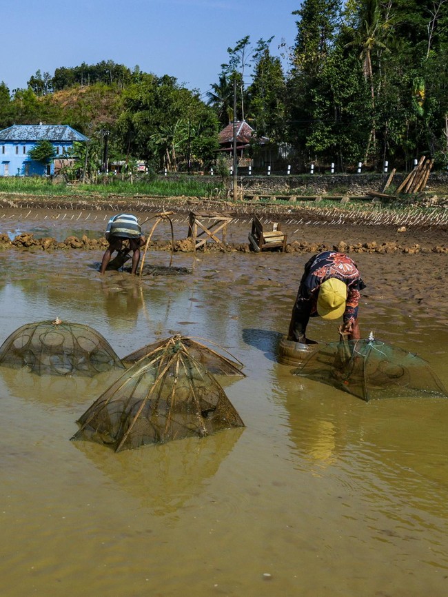 Kemarau Panjang, Ratusan Telaga di Gunungkidul Mengering