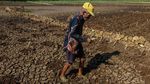 Kemarau Panjang, Ratusan Telaga di Gunungkidul Mengering