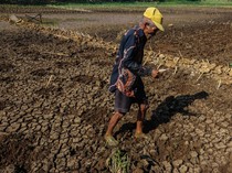 Susah Payah Petani Gunungkidul Dapatkan Air Bersih, Jual Ternak-Kuras Tabungan