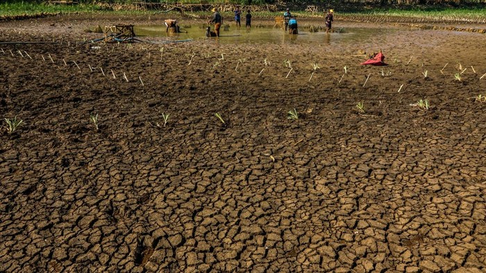 Warga memanfaatkan sisa genangan air di Telaga Kedung Giriwungu yang mengering di Kapanewon Panggang, Kabupaten Gunungkidul, DI Yogyakarta, Selasa (28/7/2026). Dinas Pekerjaan Umum, Perumahan Rakyat, dan Kawasan Permukiman (DPUPRKP) Kabupaten Gunungk