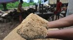 Limbah Kayu Aceh Barat Diolah Jadi Biomassa untuk Pasok Energi PLTU