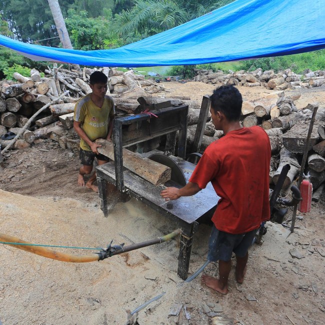 Limbah Kayu Aceh Barat Diolah Jadi Biomassa untuk Pasok Energi PLTU