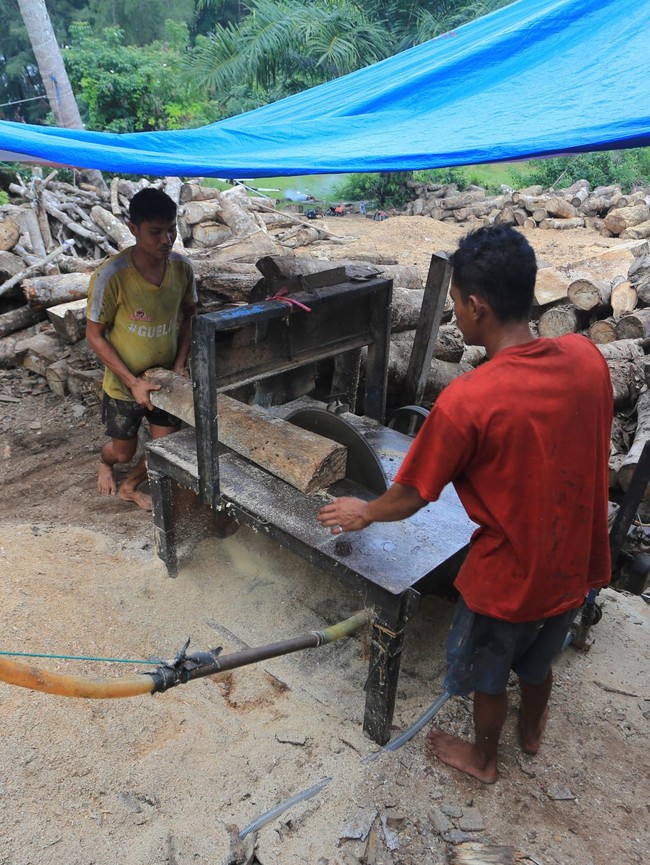 Limbah Kayu Aceh Barat Diolah Jadi Biomassa untuk Pasok Energi PLTU