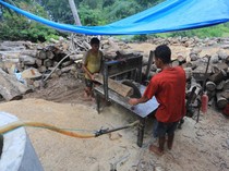 Limbah Kayu Aceh Barat Diolah Jadi Biomassa untuk Pasok Energi PLTU