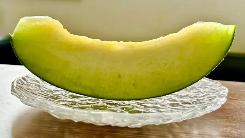 Melon 'panthom' Jepang