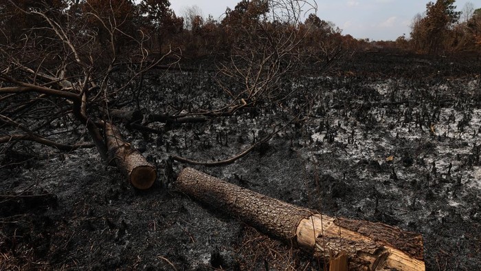 Personel BPBD Kabupaten Kubu Raya menyemprotkan air ke lahan gambut yang terbakar di kawasan Bumi Serdam Indah, Kecamatan Sungai Raya, Kabupaten Kubu Raya, Kalimantan Barat, Rabu (29/7/2026). BPBD Kalimantan Barat menyatakan bahwa status siaga darurat bencana karhutla di Kalimantan Barat, yang ditetapkan melalui Keputusan Gubernur Kalimantan Barat, berlaku hingga 15 November 2026. ANTARA FOTO/Jessica Wuysang/wsj.
