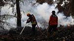 Potret Upaya Pemadaman Kebakaran Lahan Gambut di Kubu Raya