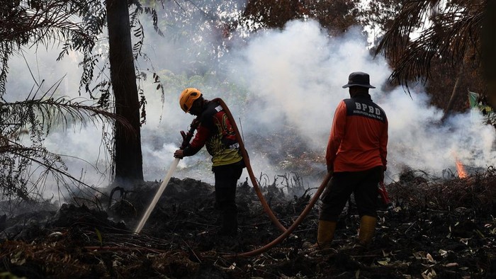 Personel BPBD Kabupaten Kubu Raya menyemprotkan air ke lahan gambut yang terbakar di kawasan Bumi Serdam Indah, Kecamatan Sungai Raya, Kabupaten Kubu Raya, Kalimantan Barat, Rabu (29/7/2026). BPBD Kalimantan Barat menyatakan bahwa status siaga darurat bencana karhutla di Kalimantan Barat, yang ditetapkan melalui Keputusan Gubernur Kalimantan Barat, berlaku hingga 15 November 2026. ANTARA FOTO/Jessica Wuysang/wsj.