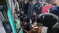 Kasus Perdagangan Satwa di Papua Berhasil Digagalkan, 7 Burung Langka Disita