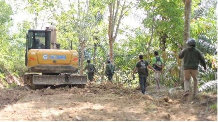 Alat berat yang diamankan dari perambahan hutan di TNBBS Lampung