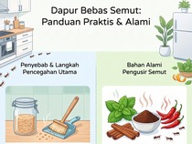 Rumah Bersih tapi Masih Banyak Semut? Ini Biang Keroknya