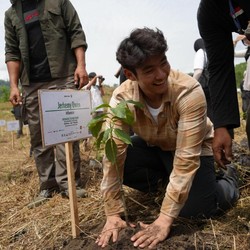 Jos! Jerhemy Owen Tebang 10 Hektar Sawit Ilegal demi 250 Ribu Pohon di Aceh