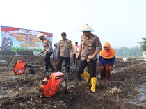 Tanam Jagung Kuartal III di Mojokerto Targetkan 48 Ton Pipil Kering