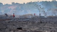 BMKG Catat Ada Ratusan Titik Api, Papua Siaga Hadapi Karhutla