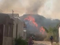 Gunung Anjing Terbakar, Petugas Kesulitan Jangkau Titik Api