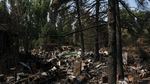 Kebakaran Hutan Hanguskan Pemukiman Elite di Madrid
