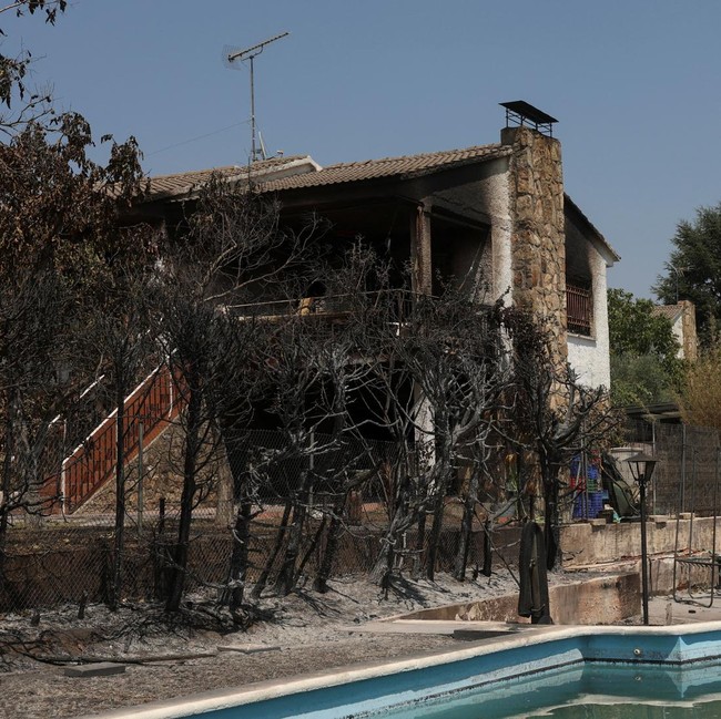 Kebakaran Hutan Hanguskan Pemukiman Elite di Madrid