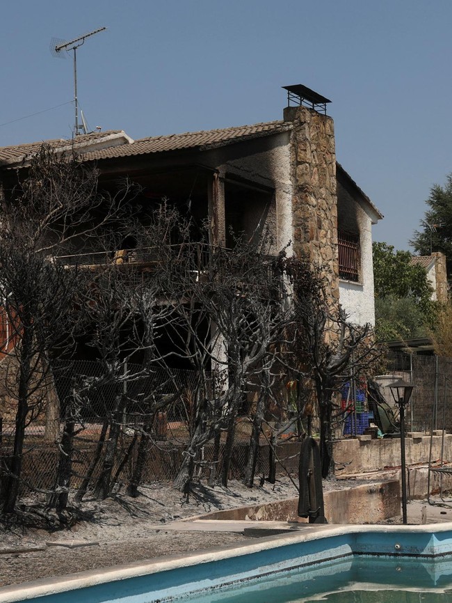 Kebakaran Hutan Hanguskan Pemukiman Elite di Madrid