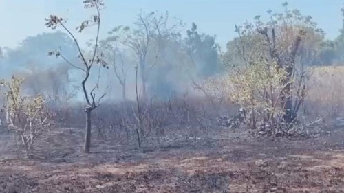 Kebakaran lahan Landa Kecamatan Kubu, Karangasem, Kamis (30/7/2026) (dok. Damkartan Karangasem)