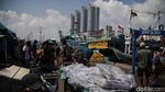 KKP Proyeksikan Konsumsi Ikan Nasional Naik 15 Persen pada 2026