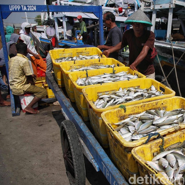 KKP Proyeksikan Konsumsi Ikan Nasional Naik 15 Persen pada 2026