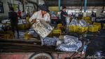 KKP Proyeksikan Konsumsi Ikan Nasional Naik 15 Persen pada 2026