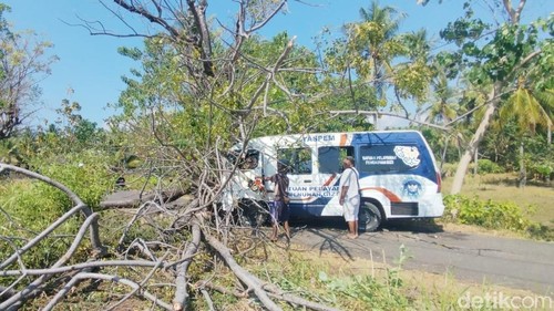Mobil MBG di Sikka NTT tertimpa pohon tumbang, Kamis (30/7/2026).