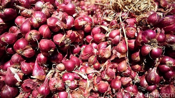 Pasar Bawang Merah Dringu Probolinggo
