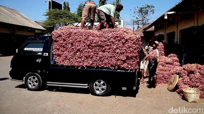 Pasar Bawang Merah Dringu Probolinggo