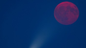 Bulan purnama Buck Moon terlihat bersinar di belakang Menara Eiffel, Paris, Prancis, dari kawasan Maisons Laffitte, Rabu (29/7/2026). Kemunculan bulan penuh itu menciptakan pemandangan kontras antara cahaya alami di langit malam dan ikon arsitektur kota. REUTERS/Abdul Saboor  