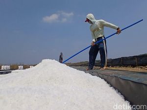 Video: El Nino Mendatangkan Rezeki Bagi Petani Garam di Cirebon