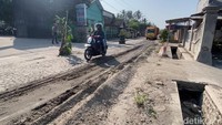Pohon pisang ditanam di sepanjang Jalan Raya Desa Karangrejo. Sementara kondisi jalan rusak di beberapa titik sepanjang 750 meter.