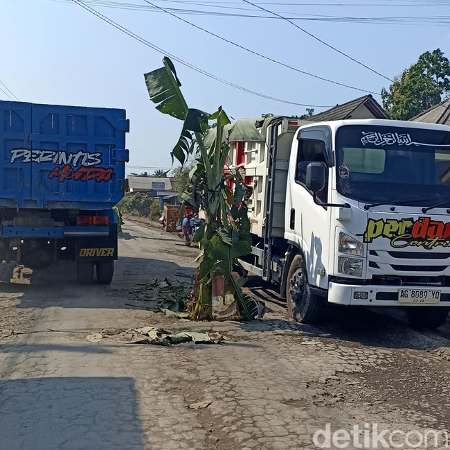 Jalan Rusak Ditanami Pohon Pisang di Blitar