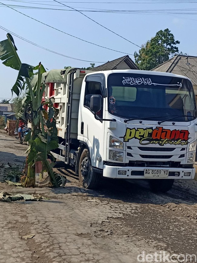 Jalan Rusak Ditanami Pohon Pisang di Blitar
