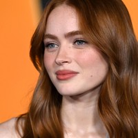 Hal itu terungkap ketika Steve ditanya tentang karakter yang paling dinantikannya. Jean. Aku suka Jean. Dia penjahatnya, tapi ada alasan di balik kegilaannya. Aku menyukainya. Aku suka karakternya, kata Steve kepada streamer Valkyrae. Foto: FilmMagic/Axelle/Bauer-Griffin