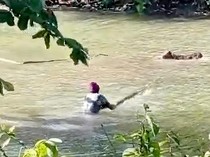 Teror Buaya Ganas Hantui Situ Habibie di Sukabumi