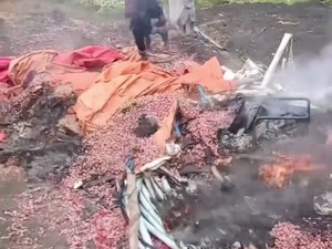 Petani Bawang Diisukan Cabuli Anak, Warga Keroyok dan Bakar Hasil Panennya