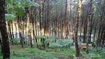 Hiking yang Bersahabat di Geger Bintang Matahari, Lembang