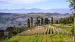 Hiking yang Bersahabat di Geger Bintang Matahari, Lembang