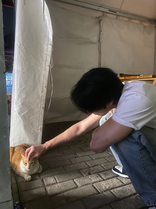 Dalam foto lain, Ahn Hyo Seop memperlihatkan momen mengelus kucing oren yang berada di rest area Cipularang. Sontak bikin gemas! Ia memang dikenal sebagai cat dad sejati yang memelihara anabul bernama Bawool. Foto: dok. Instagram @imhyoseop