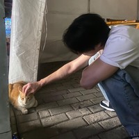 Dalam foto lain, Ahn Hyo Seop memperlihatkan momen mengelus kucing oren yang berada di rest area Cipularang. Sontak bikin gemas! Ia memang dikenal sebagai cat dad sejati yang memelihara anabul bernama Bawool. Foto: dok. Instagram @imhyoseop