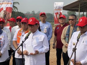 Pemprov DKI Kucurkan Rp 1 T Sulap 100 Ha Lahan di Banten Jadi Peternakan