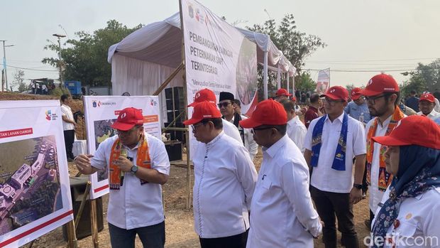 Gubernur DKI Jakarta Pramono Anung dan Gubernur Banten Andra Soni meninjau lahan 100 hektare di Banten untuk membangun peternakan. (Devi/detikcom)