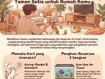 Infografis: 6 Hewan Peliharaan yang Mudah Perawatannya