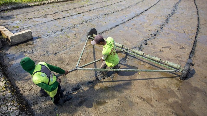 Petani menggunakan sistem Pertanian Modern-Advanced Agricultural System (PM-AAS) saat menebar benih di area sawah di Susukan, Kabupaten Cirebon, Jawa Barat, Kamis (30/7/2026). Kementerian Pertanian mengenalkan inovasi tanam padi dengan sistem Pertanian Modern-Advanced Agricultural System (PM-AAS) yakni metode tanam benih langsung dengan barisan rapat dan teratur yang mampu meningkkatkan produktivitas padi hingga 10 ton per hektar. ANTARA FOTO/Dedi Suwidiantoro/agr