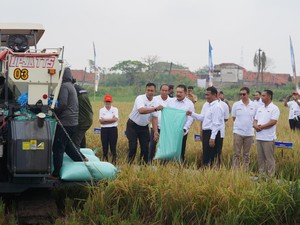 Kawal Ketahanan Pangan, Kejagung Luncurkan Early Warning System Jaga Desa