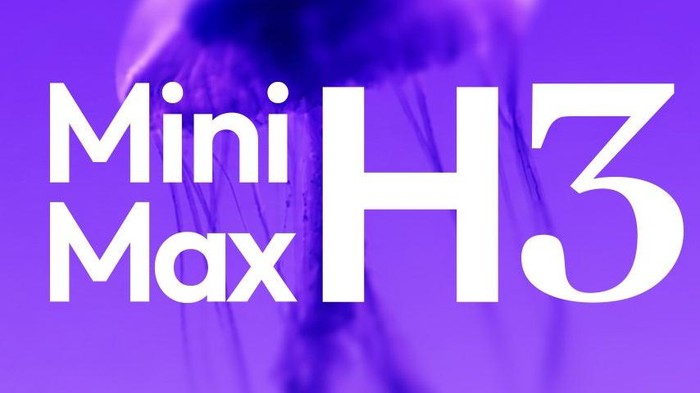 Mini Max H3