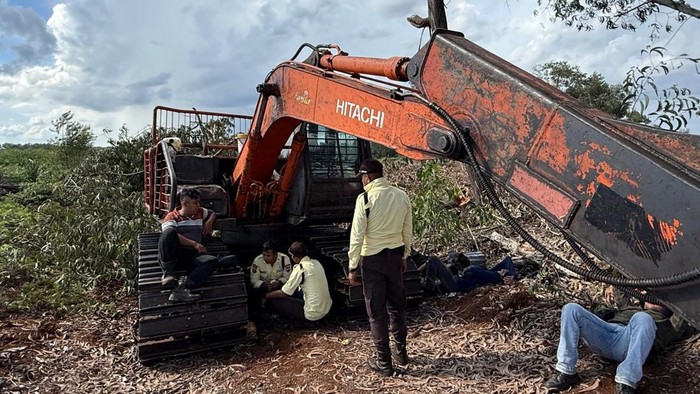 Perambahan hutan seluas 20 hektare di Bengkalis terungkap lewat drone, Kamis (30/7/2026).